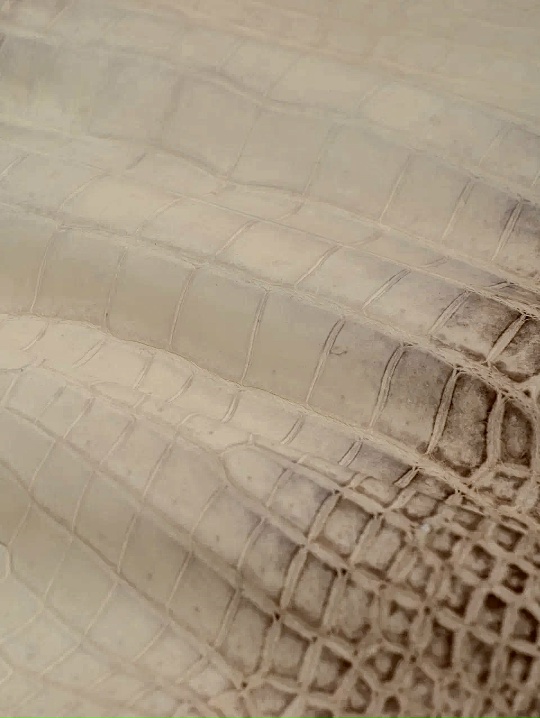 Кожа крокодила Гималаи